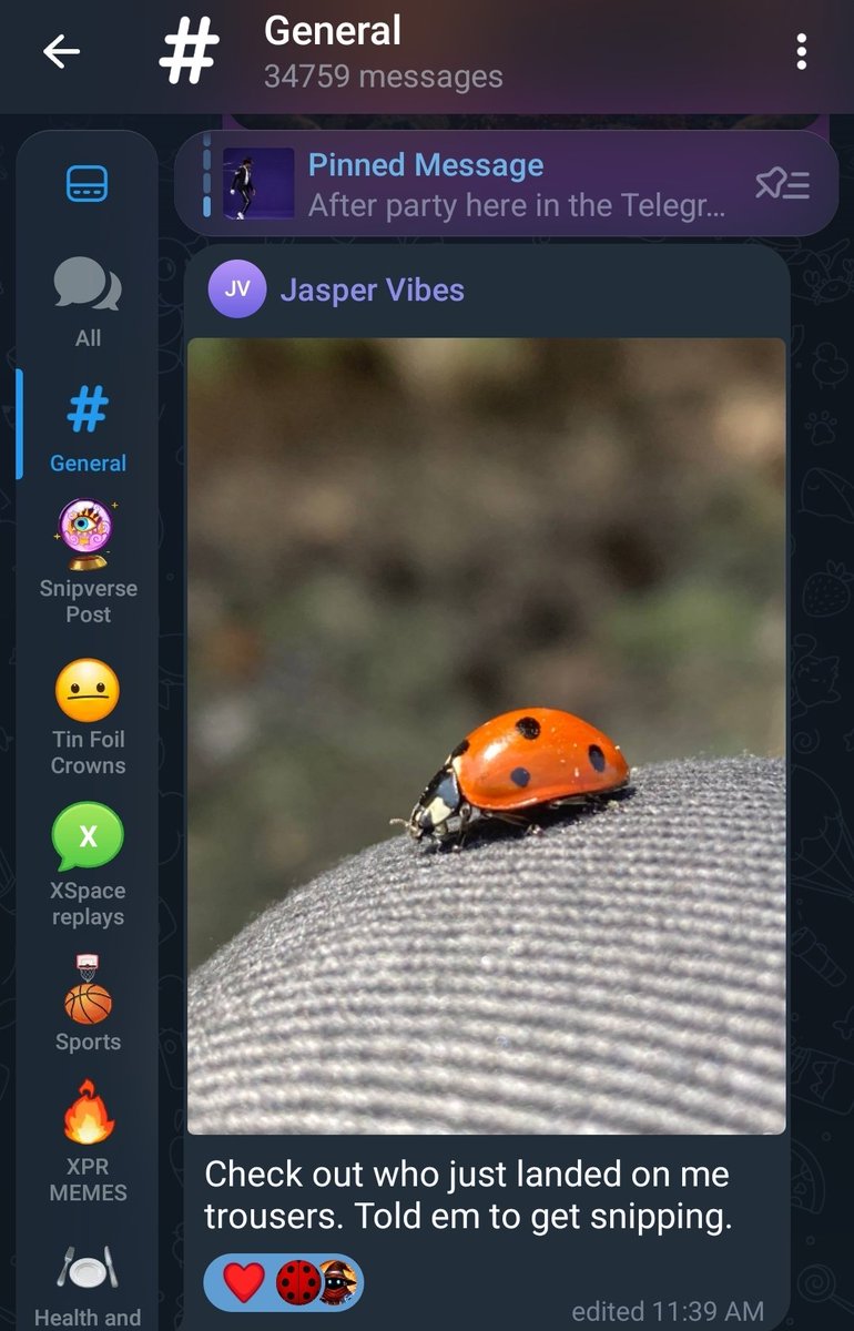 tat2ude11's tweet image. Another $KSTO Telegram member touched by #LBUG 
A nice reminder to slow down and enjoy the simple things in life. Listen to nature, it will show you the way.
🫶🐞

#WE #KEEPSNIPPING
