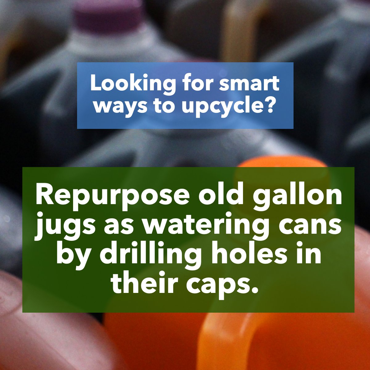 Devora_Realtor's tweet image. Billions of water bottles are used every year throughout the world and only small portions of plastic bottles get recycled.  🌎🥤

Here's one way to recycle plastic bottles, now share yours! ♻

#sustainable #ecochic #ecofriendly #recycle #diy #project