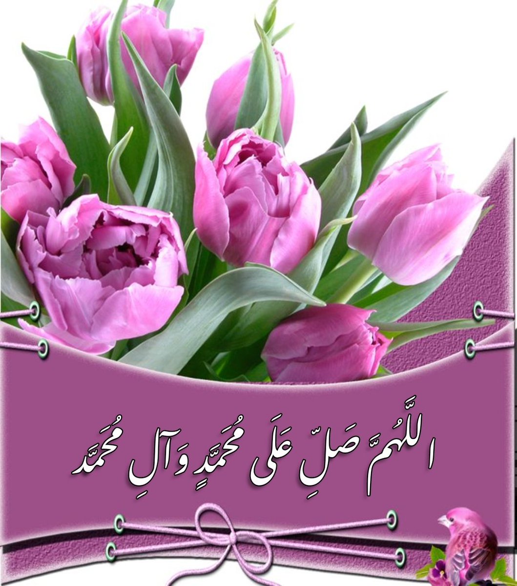 اللهم صل على الشفيع يوم العرض
صاحب لواء الحمد
صاحب الخلق العظيم
صاحب الدرجه الرفيعه
صاحب السكينه
المدفون في المدينه
صاحب الحوض
صاحب المعراج
راكب البراق
مخترق السبع الطباق
يانبي الرحمه مدد
سيدنا وحبيب قلوبنا قدوتنا قائدنا وسيلتنا الى الله سيدنا محمد وآله الطاهرين وعجل لوليك الفرج
