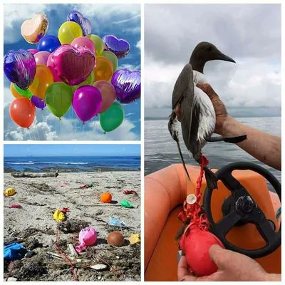 Give A Shit About Nature tweet media
