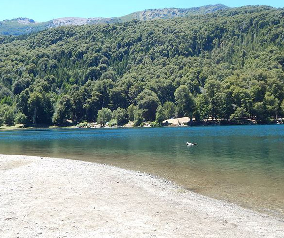 GuiaTurista's tweet image. 🇦🇷 Lagos menos conocidos de la Patagonia para evitar multitudes: Más allá de los clásicos, la Patagonia esconde lagos menos conocidos donde el paisaje sigue… dlvr.it/TSJdgr 🌐 Más en el sitio #Patagonia #Lagos #TurismoSostenible #ViajarSinMultitudes #Naturaleza