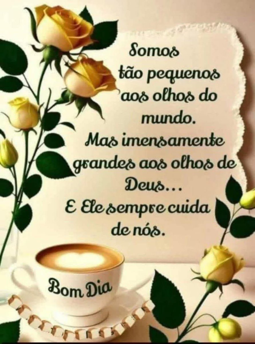 Danielle Amorim tweet media