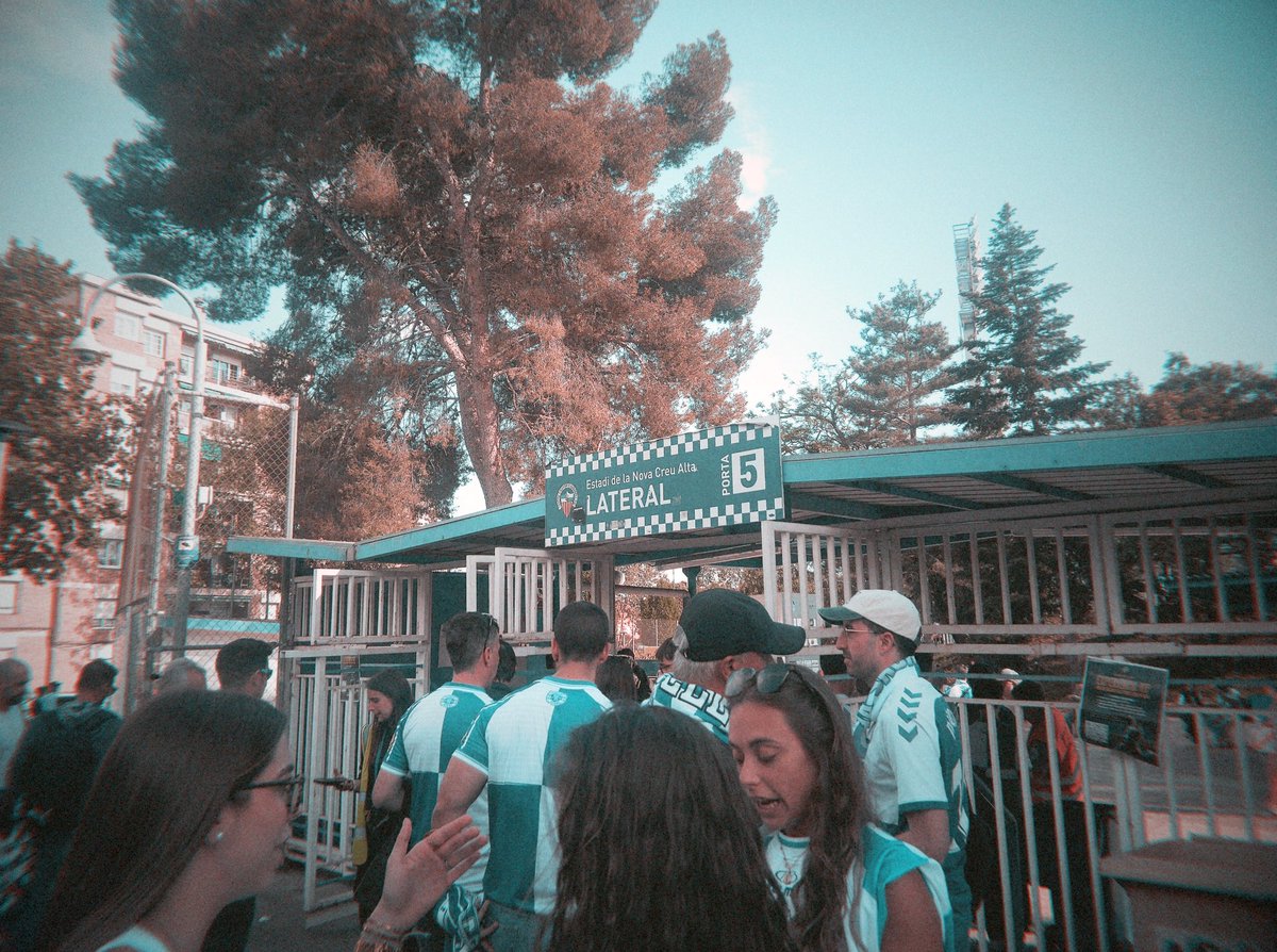 𓃠🧅 tweet media