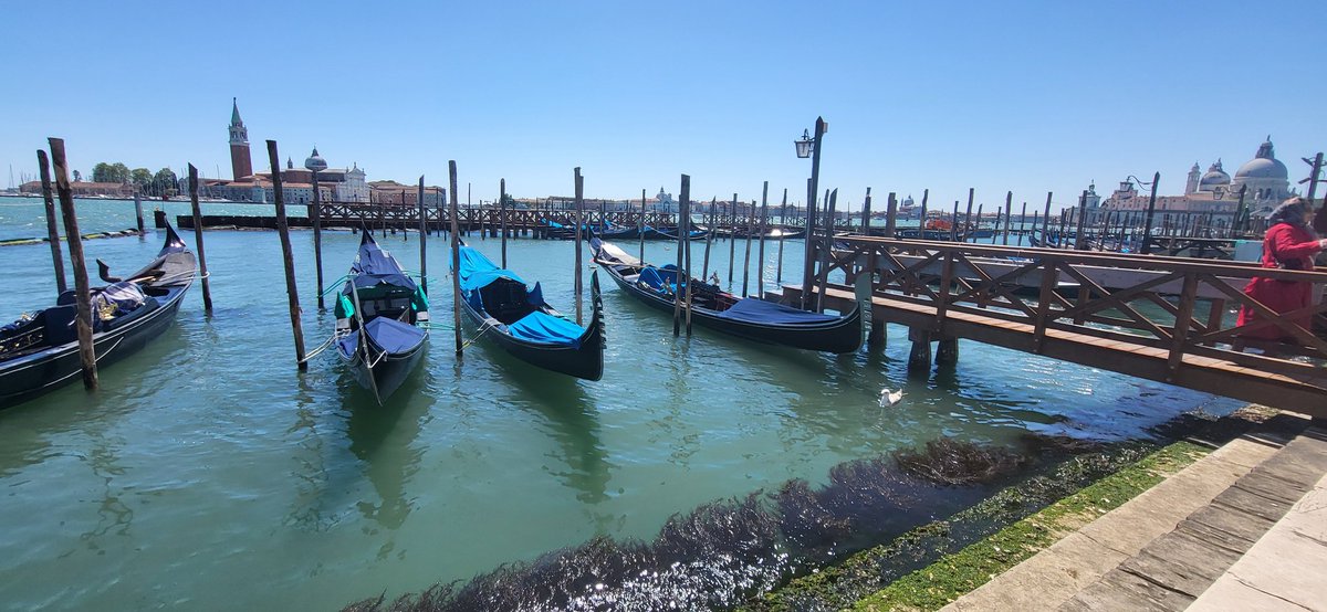 Maccafifty5's tweet photo. 📌  Venice https://t.co/kdWJVArHU2