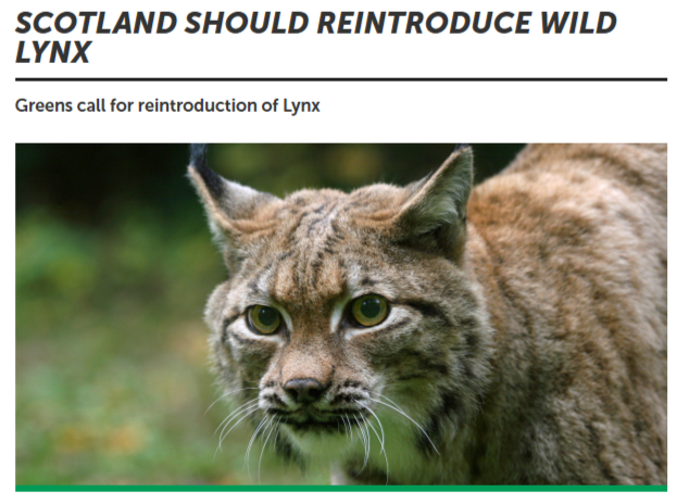 Tim_ODoherty's tweet image. The REAL battle lines of this election have been drawn #lynx