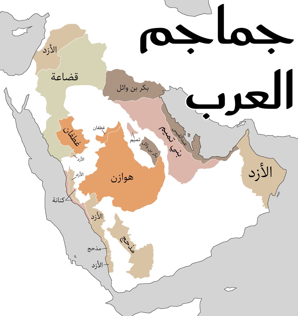 همّام tweet media