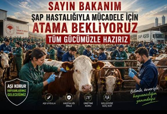 Aykut Koç tweet media