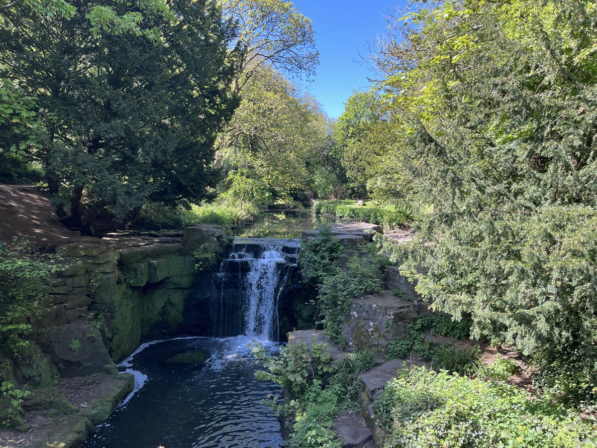 Jesmond Dene this afternoon.