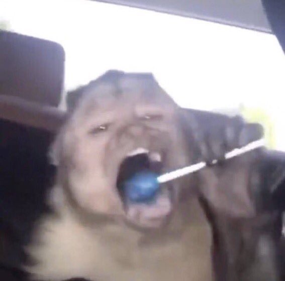 Rafaella_ tweet media
