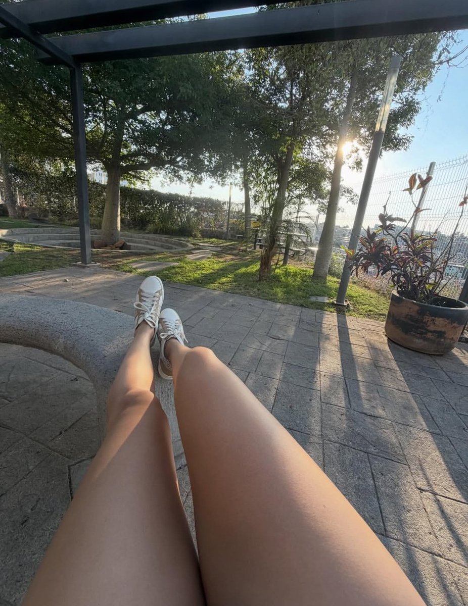 ambiente singwer sin sensura 🚫🍍🍍 tweet media