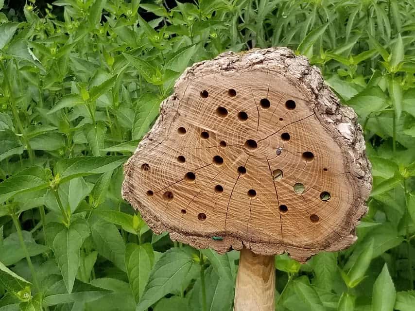 Give A Shit About Nature tweet media