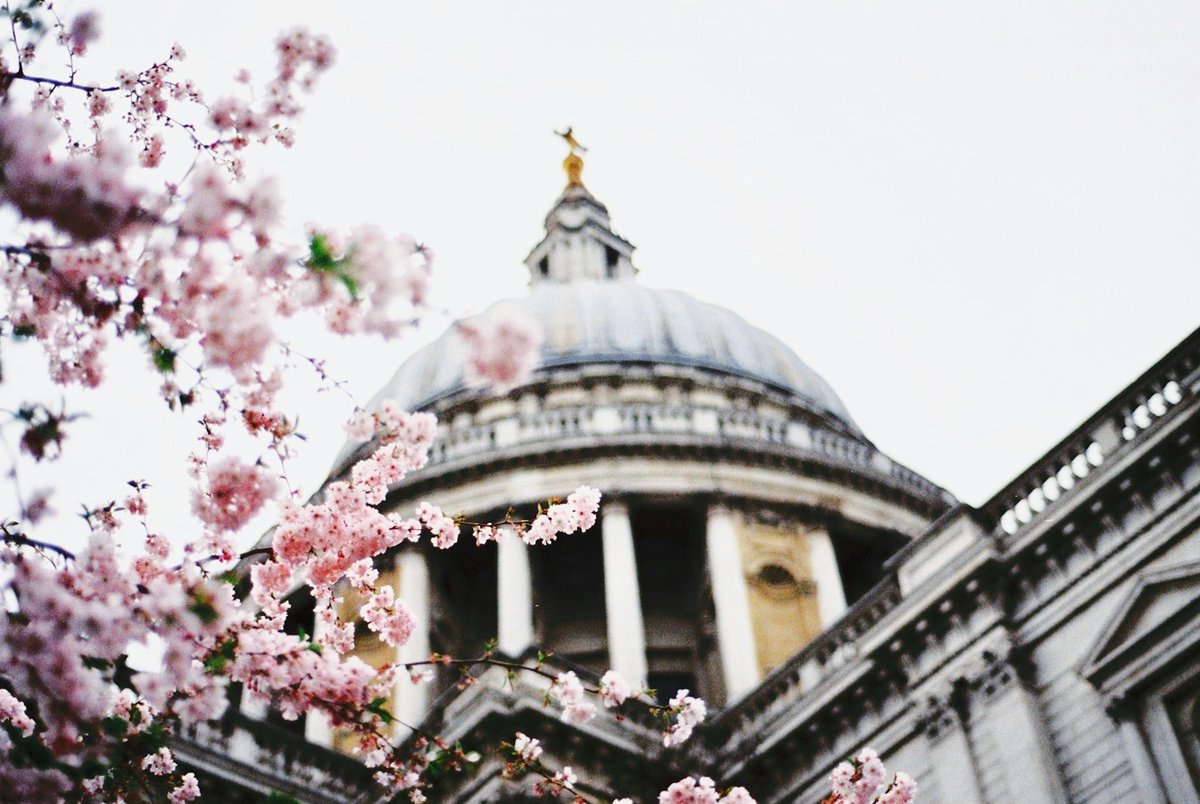 LtdAnsell's tweet image. Happy May!

Can you believe spring is already here? With warmer weather and longer days, it’s the perfect time to step outside and take in London’s unique architecture.

What’s your favourite building in London, and why?

#Architecture #LondonArchitecture #DesignInspiration