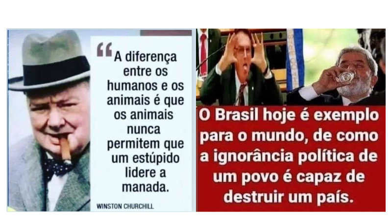 LUIZ CTBA tweet media