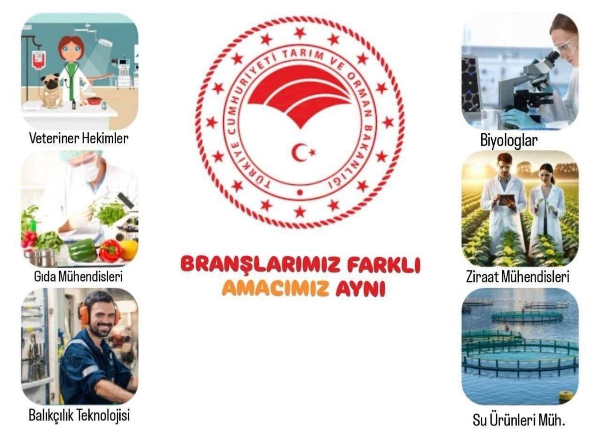 kevserce0607k's tweet photo. Gıda güvenliği ihmale gelmez. Gıda Mühendisleri olarak görev almaya hazırız. Uzun süren bekleyişimiz sonlansın @ibrahimyumakli @ahmtbgc @bekirgizligider #TobAtamaBekliyor https://t.co/Ak67e02NBH
