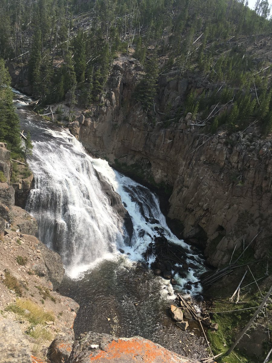blueroan_26's tweet image. I wanna go back to Yellowstone, it’s so pretty!!! #roadtrip #Yellowstone