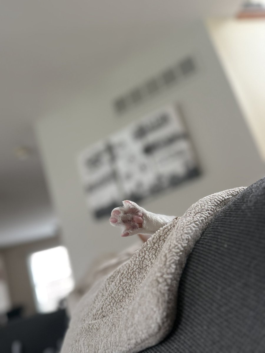 freaking chicken foot