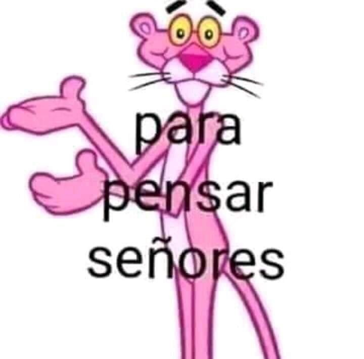 Camotti tweet media
