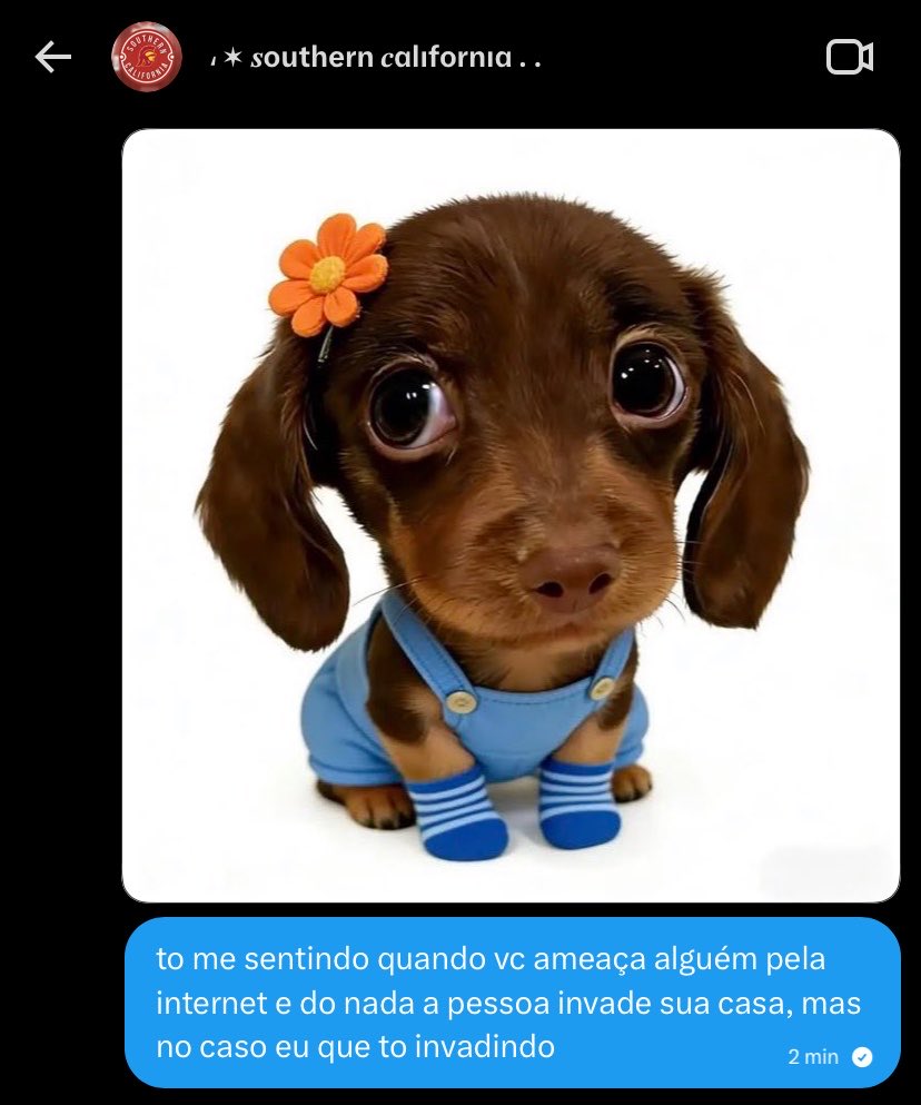 * 𝒂lıce 𝒂rɡent 𝒅ılαurentıs tweet media