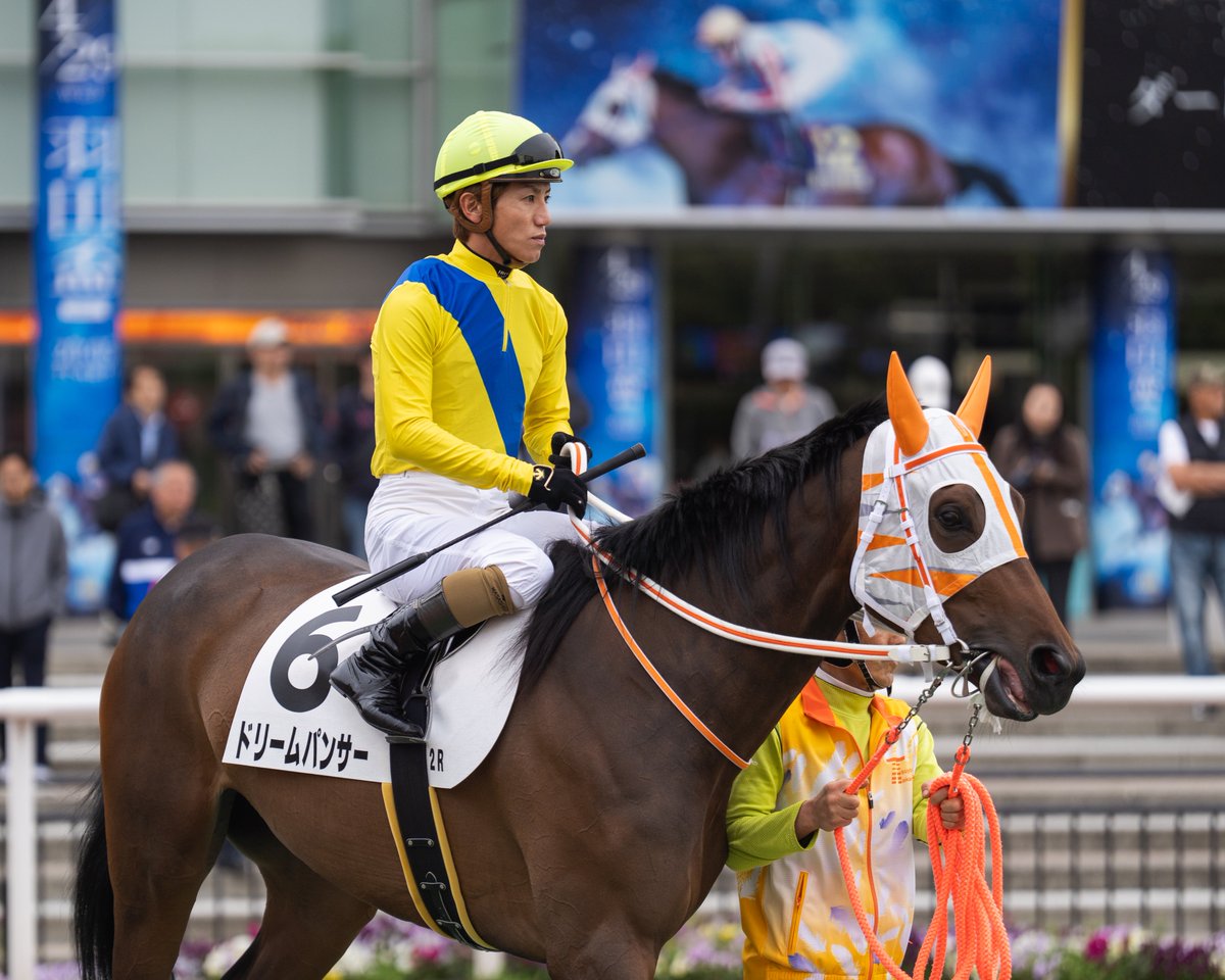 2026/04/30 大井2R ドリームパンサー🏆㊗️ 本田正重騎手 気性が難し