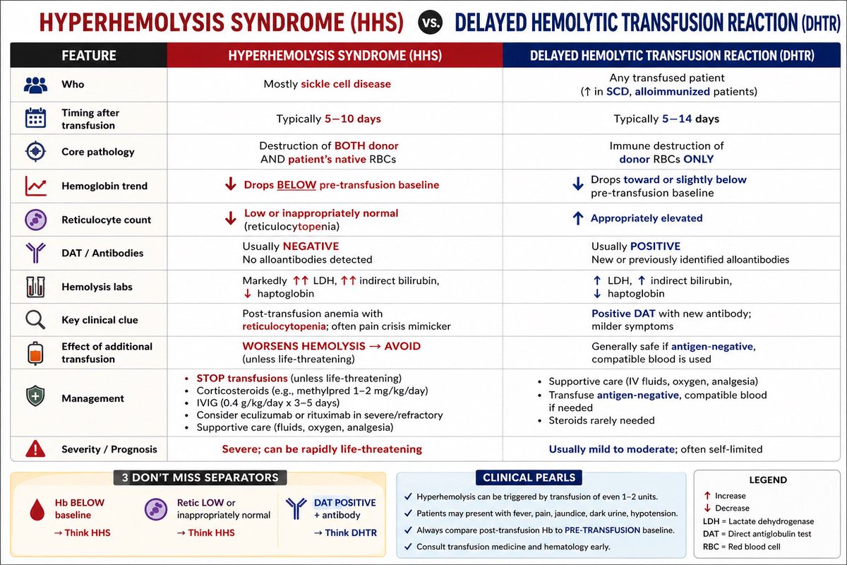 FNH_918's tweet photo. 2. Hyperhemolysis vs DHTR https://t.co/zd1xpJOPGc