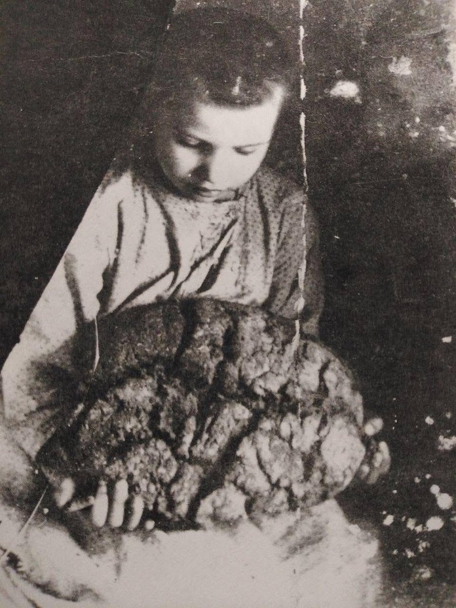 avalaina's tweet image. Coursera has launched a free international course entitled ‘Famine as Genocide: The Holodomor in Ukraine’. And this is, without exaggeration, a landmark event.

Not many people abroad know that in 1932–1933, an artificially organized famine raged in Ukraine. It was a deliberate