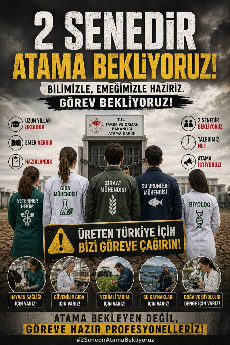 Aykut Koç tweet media