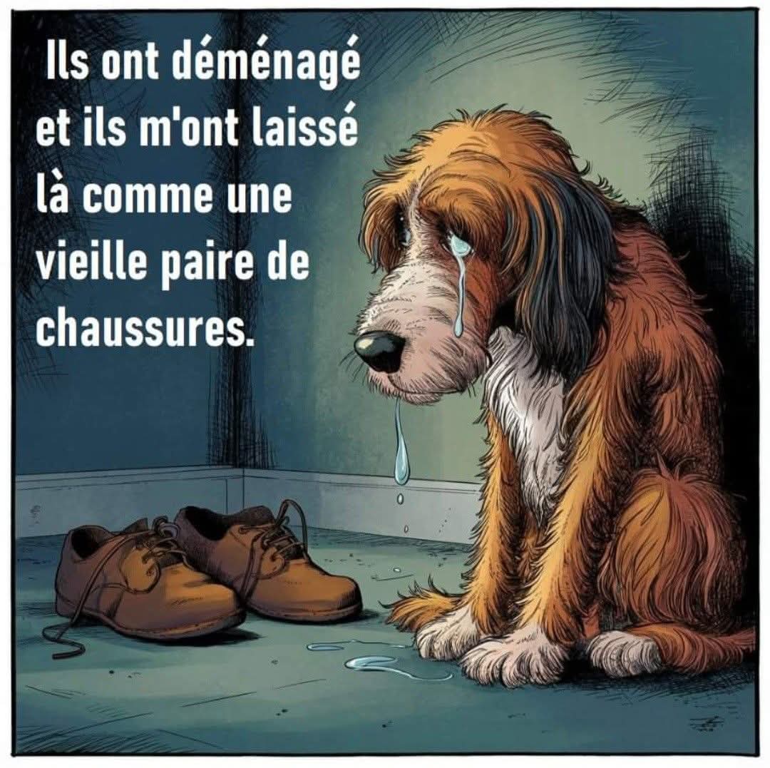 Adea Claude tweet media