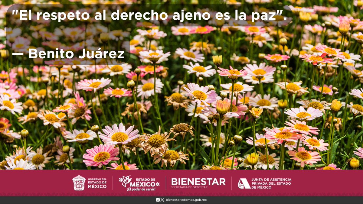 JAP_EdoMex's tweet image. ¡Hagamos de la convivencia un espacio de mutuo entendimiento y libertad!🌎
#BenitoJuárez #Convivencia #Valores #Armonía #JAPEM #CulturaDePaz #México