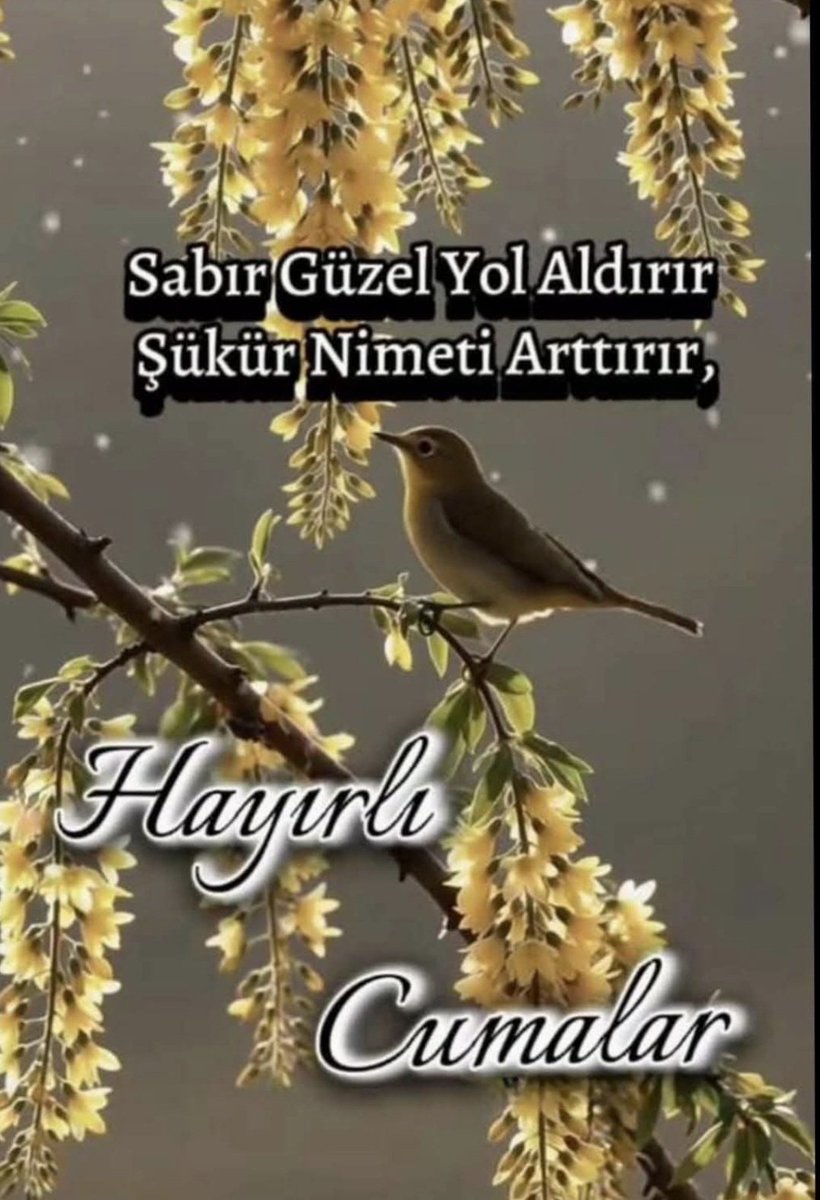 cince5838's tweet photo. Nefsini #Hayr ile 
Meşgul Etmezsen 
O Seni #Şer ile 
Meşgul Eder.
                  İmam Şafi (ra)

#HayırlıCumalar https://t.co/7N0bmysOSf