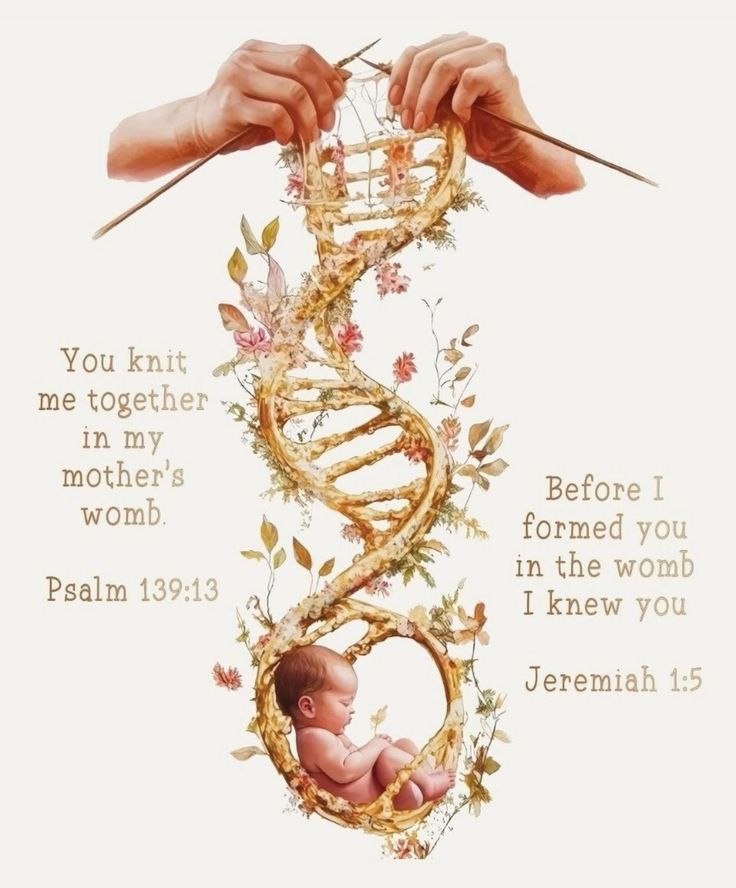 John_Matthew_T's tweet photo. Psalm 139:14

For you created my inmost being, you knit me together in my mother’s womb. https://t.co/Z1F7k17GPW