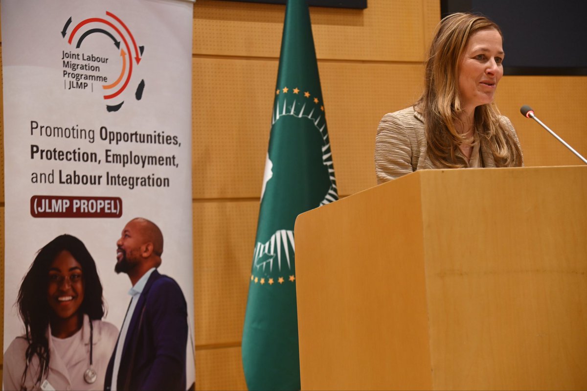 AU Health,Humanitarian Affairs&Social Development tweet media
