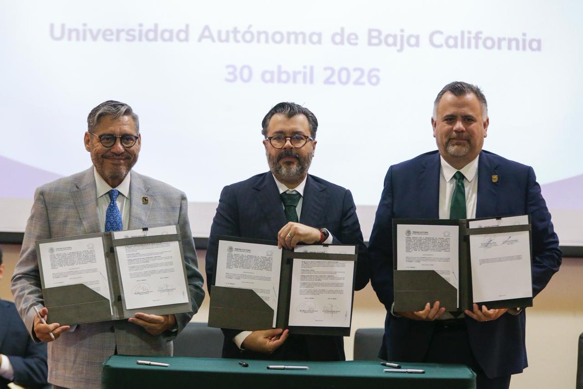 Tribunal Electoral del PJF tweet media