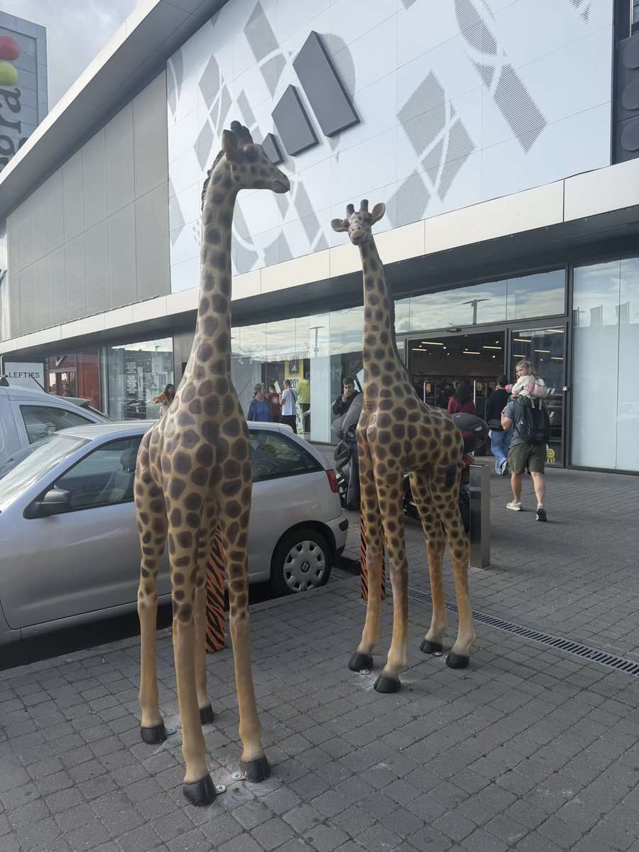 jpiedrahita's tweet image. Vaya con este #superjueves de descuentos en los #outlets de mi ciudad visitados y cubiertos hoy, último jueves del mes (con sus atractivos descuentos en las #marcas, full house desde las 10 de la mañana…) Menuda “orgía de consumo” la vivida. 😳🤔