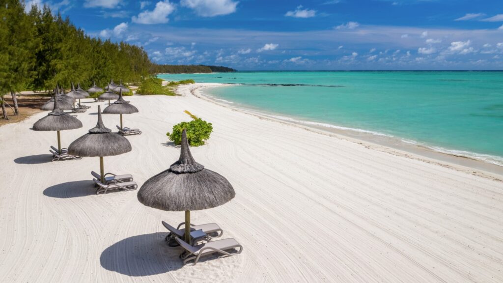 TravelSort tweet media