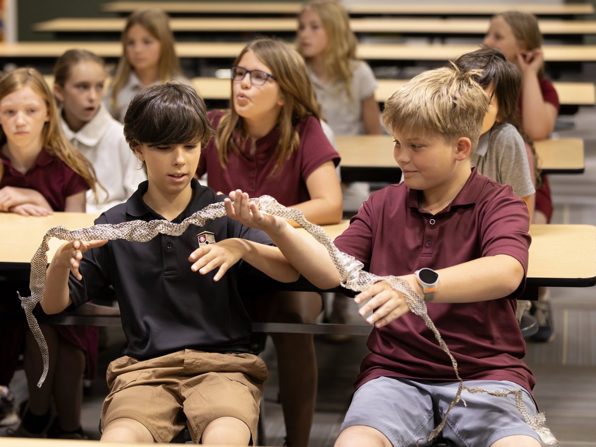 CBAstem's tweet photo. 4th-grade scientists explored animal structures today! 🐢🐍 With visitors from Ijams Nature Center, students met a box turtle and corn snake up close—touching a turtle shell and snakeskin while discovering how animal structures help them survive. What a great day of learning! 🌿 https://t.co/pJGbMXHmo5