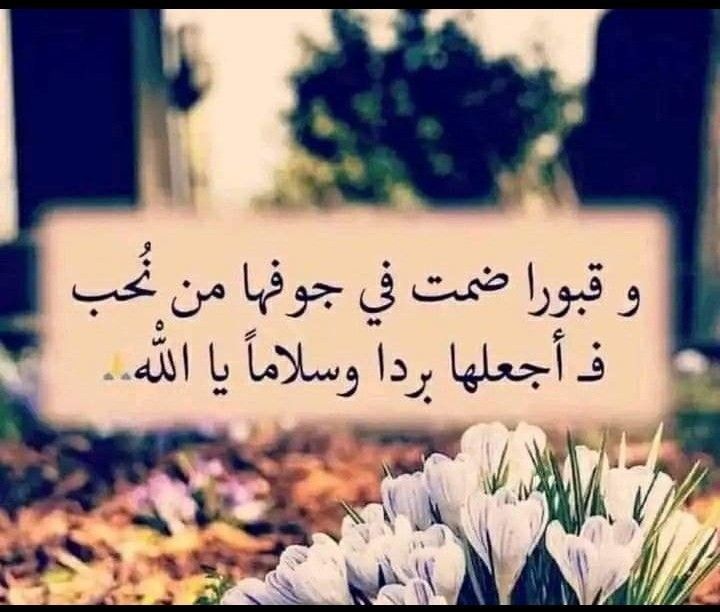 اللهم أغفر لأبي وأروي روحه من أنهار جنتك وهب له بقدر دعاء الصالحين للأموات رضواناً وأكرمه بفردوسك الاعلى يارب العالمين
 وجميع موتانا وموتى المسلمين