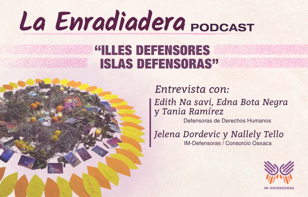 IM-Defensoras tweet media