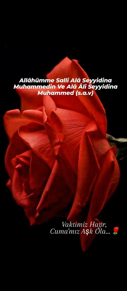 Ey_Yar tweet media