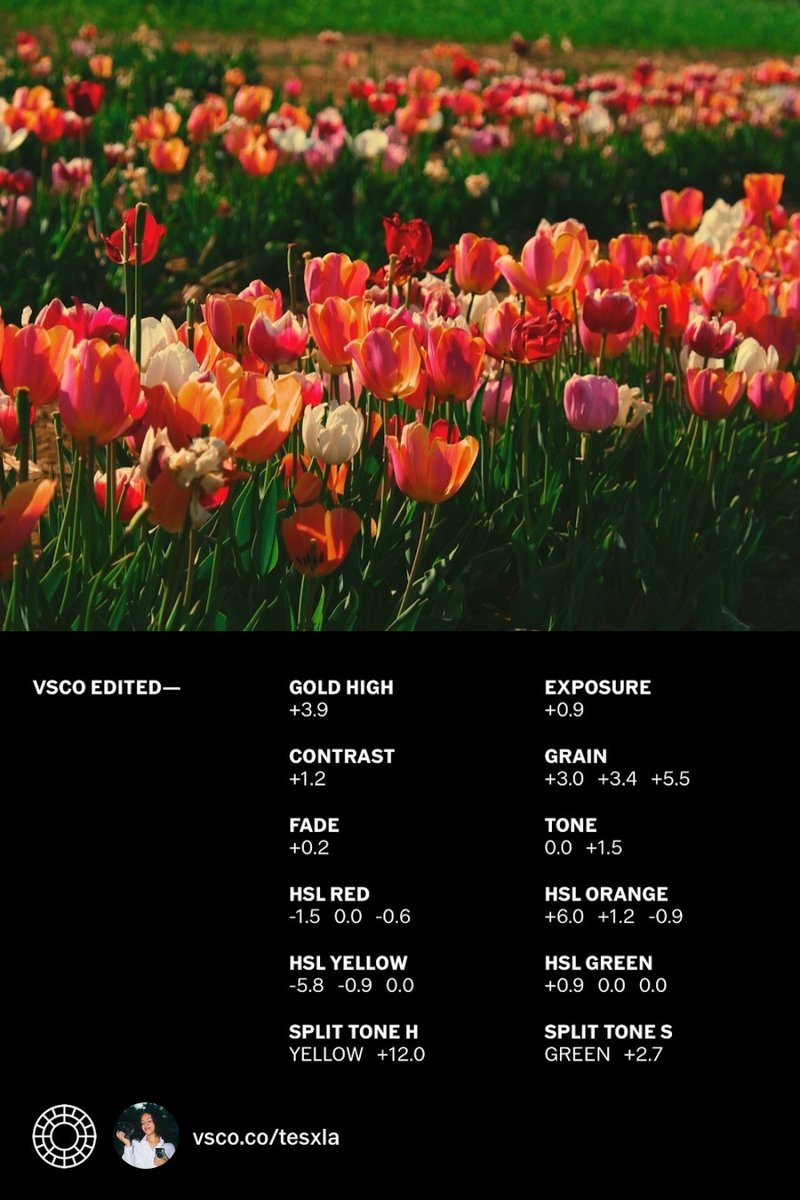 VSCO tweet media