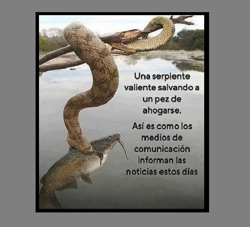 No Te Calles tweet media