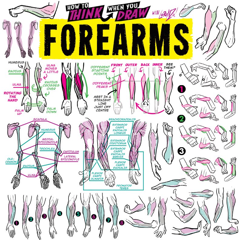 EtheringtonBros's tweet image. FOREARMS! To get the FREE monthly How to THINK When You draw digital MAGAZINE, (including NEW tutorials, a YEAR before they appear online) just tap the link in the bio HERE:  @etheringtonbros
#anime #manga #conceptart #gamedev