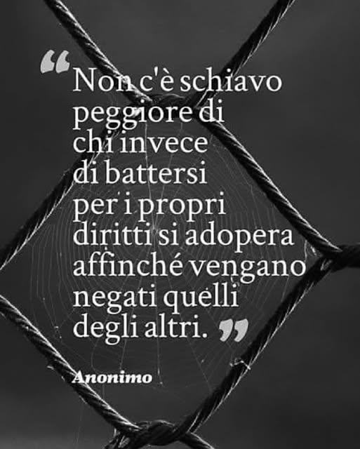 serebellardinel's tweet image. Quanta verità in queste parole! Gli schiavi felici, sono i veri nemici della libertà! E #Meloni è grazie a loro che sta distruggendo l'#Italia e gli #italiani!