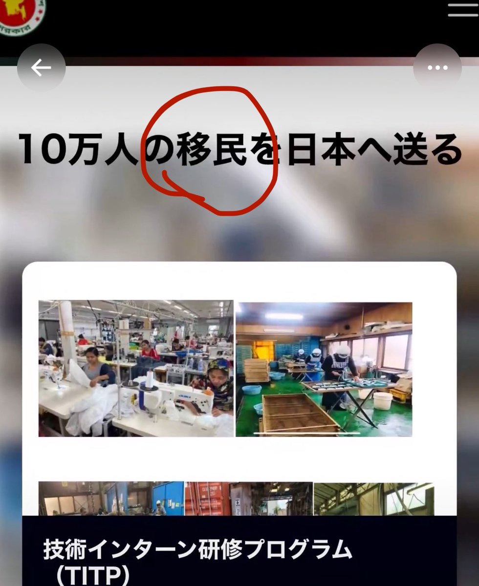Kumashun🇯🇵🐻💎 tweet media