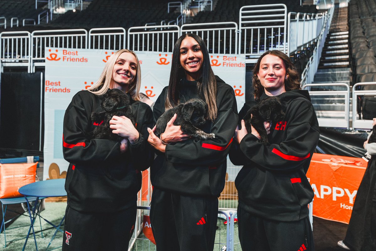 Lady Raider Basketball tweet media