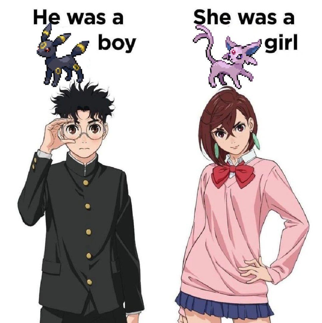 Pokémon Daily tweet media