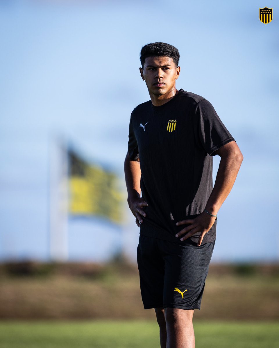 Franco Trucce tweet media
