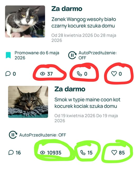 Michael Dżekson tweet media