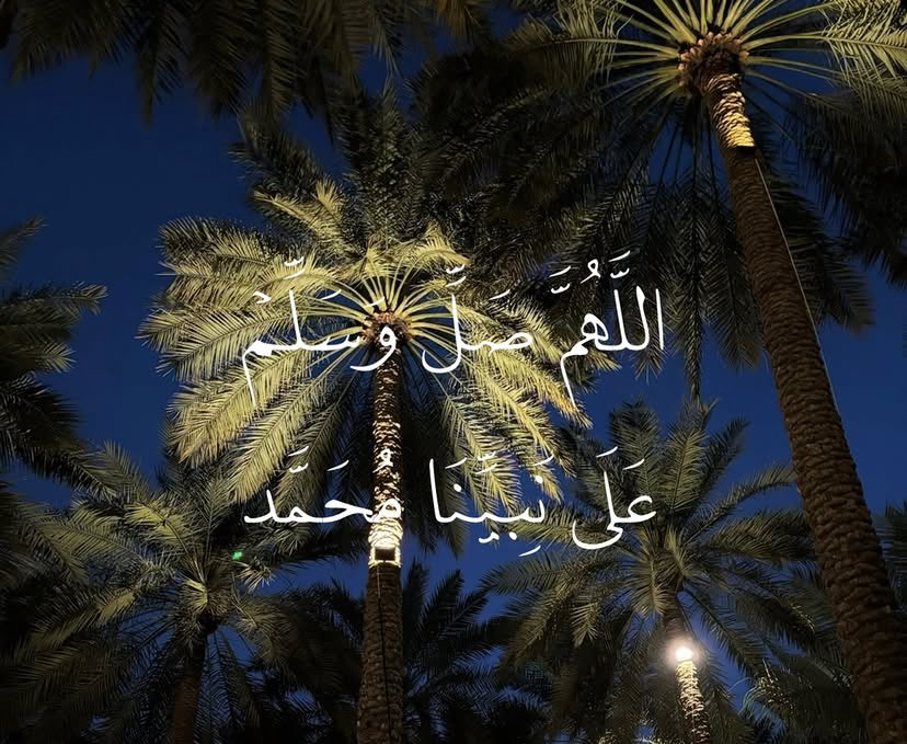 سَكَن tweet media