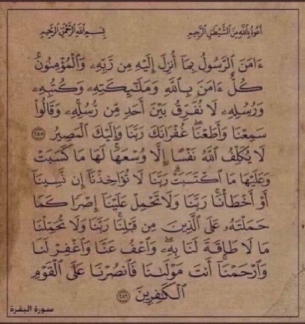 ونس tweet media