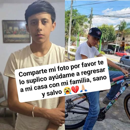 constanza luna tweet media